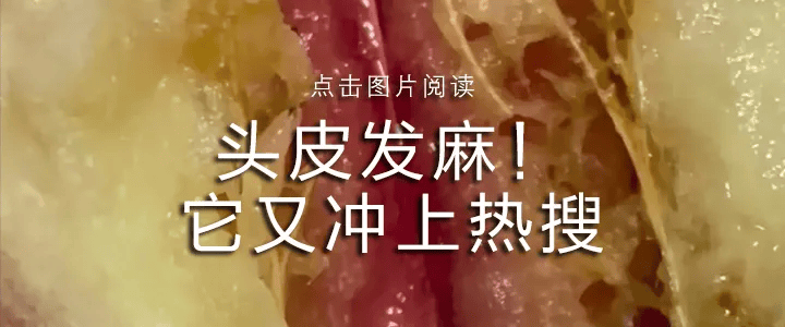 皇冠信用網占成代理
_疯传“广东一学校闲置多年皇冠信用網占成代理
，即将开学”，最新消息！