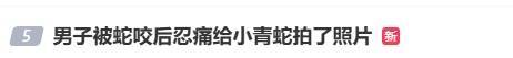 皇冠信用网登3代理_随意放生“五步蛇”？被毒蛇咬伤皇冠信用网登3代理，这一动作能“保命”