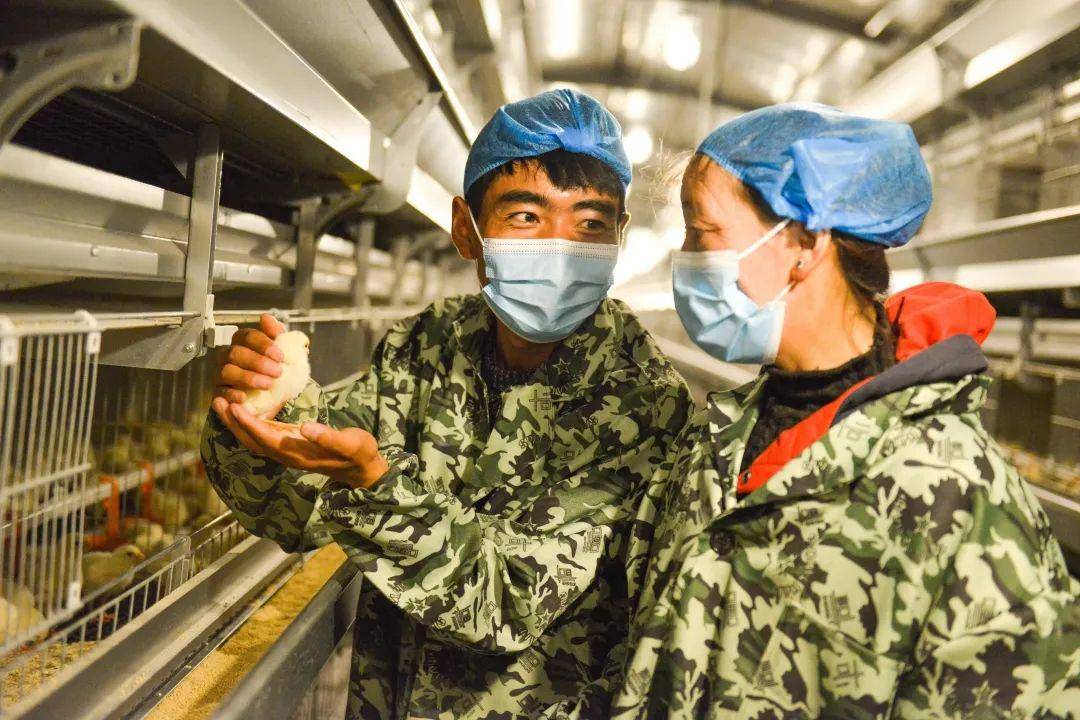 皇冠皇冠平台
_县·观察｜乃东：高原沃土的产业振兴之路