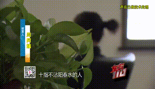 皇冠信用网账号注册
_“从小不缺钱皇冠信用网账号注册
，父母百依百顺”，53岁啃老女花光父亲遗产后，又盯上……