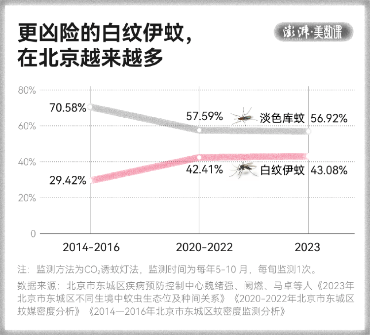 皇冠信用盘占成代理
_全球“最毒”的蚊子皇冠信用盘占成代理
，为何批量北上
