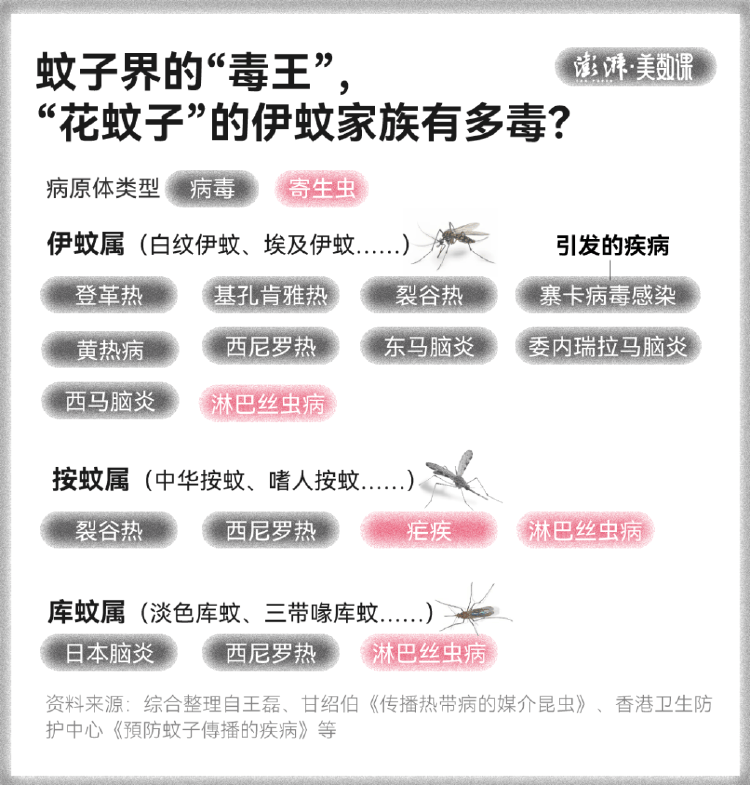 皇冠信用盘占成代理
_全球“最毒”的蚊子皇冠信用盘占成代理
，为何批量北上