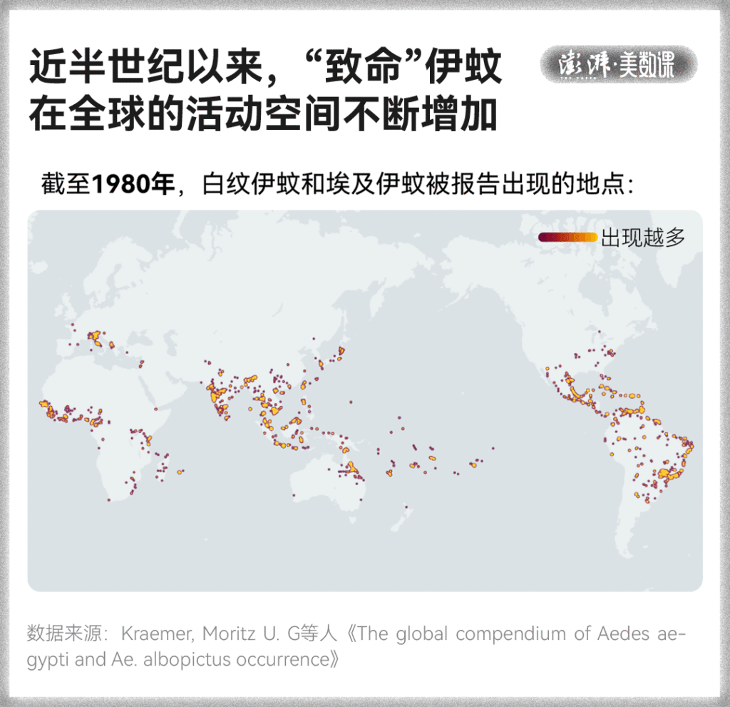 皇冠信用盘占成代理
_全球“最毒”的蚊子皇冠信用盘占成代理
，为何批量北上