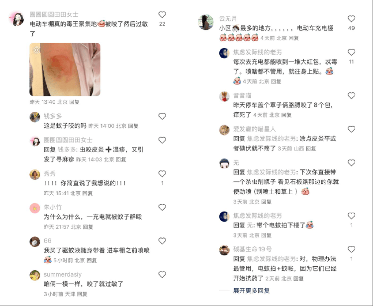 皇冠信用盘占成代理
_全球“最毒”的蚊子皇冠信用盘占成代理
，为何批量北上