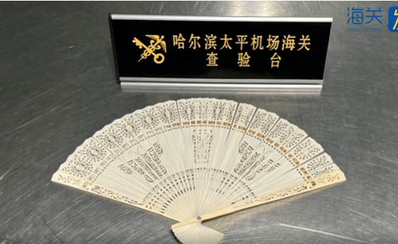 皇冠信用盘平台出租
_一旅客因一把“漂亮折扇”在哈尔滨机场被查！经鉴定：非洲象象牙制品皇冠信用盘平台出租
，净重61.7克
