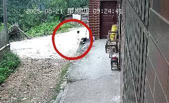 皇冠信用网会员
_湖南新邵突然失踪的2岁女孩平安找到皇冠信用网会员
，当地公安：在距离家1公里外的山林石缝中发现