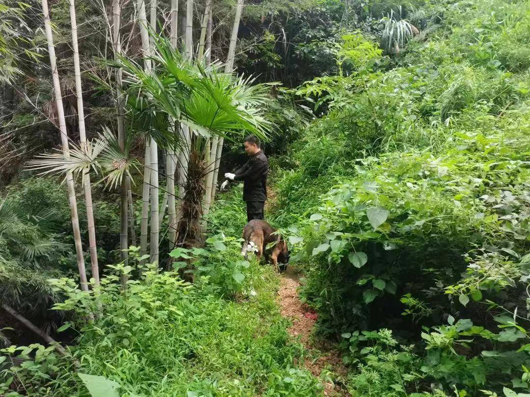 皇冠信用网会员
_湖南新邵突然失踪的2岁女孩平安找到皇冠信用网会员
，当地公安：在距离家1公里外的山林石缝中发现