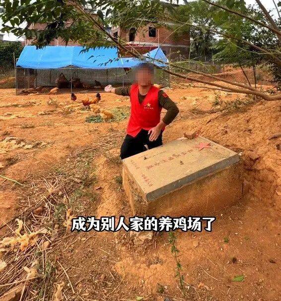 hga026注册
_烈士墓地成为养鸡场hga026注册
？当地政府：已经整改完毕