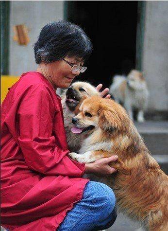 登3代理出租
_合肥卖房救助流浪狗的魏阿姨离世登3代理出租
,病中仍然惦记着基地的600只流浪狗,工人:不敢相信世上还有这样执着的人