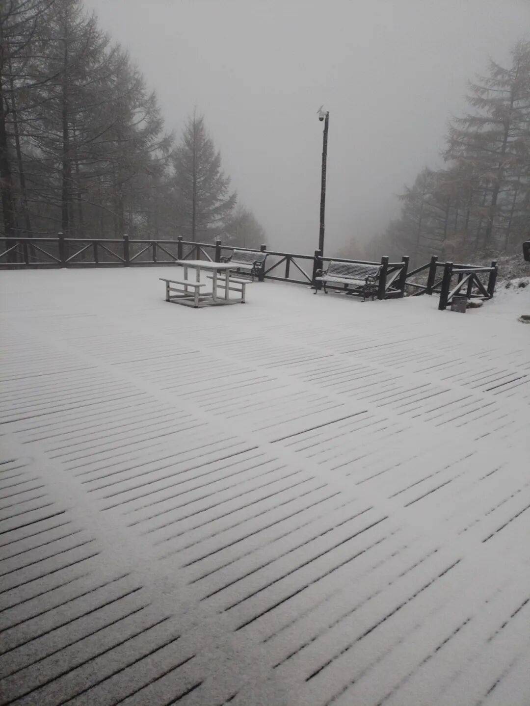 正版皇冠信用网开户
_石家庄下雪了！河北将迎中到大雪正版皇冠信用网开户
，未来三天……