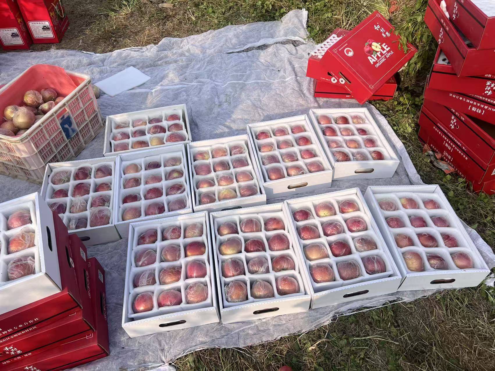 信用网怎么开户
_“淮北为啥不种橘子信用网怎么开户
？”果农：因为我们有更甜的王牌