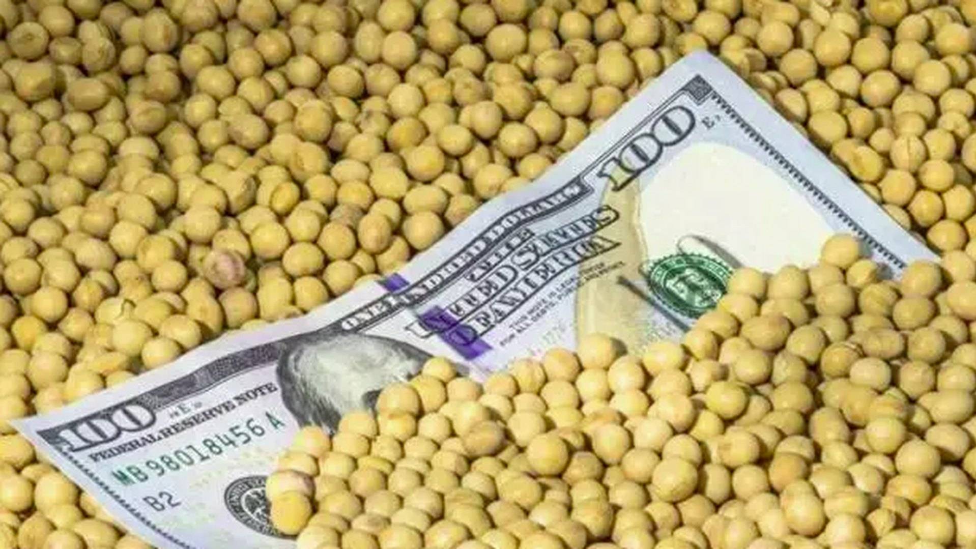 皇冠信用盘在线开户
_美国大使给中方发来通牒皇冠信用盘在线开户
,要求交出港口!美媒发现:中国采购美国大豆陷入停滞