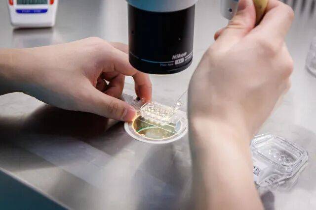 皇冠信用盘如何申请
_一婴儿出生就15岁皇冠信用盘如何申请
！被称为“最老婴儿”