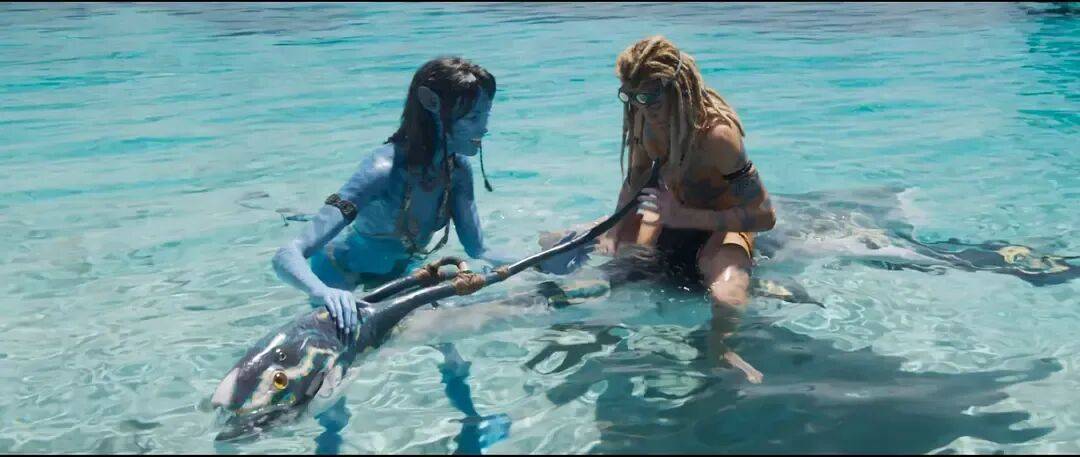 奥尔德姆 vs 布罗雷_仿佛又看了一遍《阿凡达2》…票房口碑不及前作的《阿凡达3》真审美疲劳了吗奥尔德姆 vs 布罗雷？