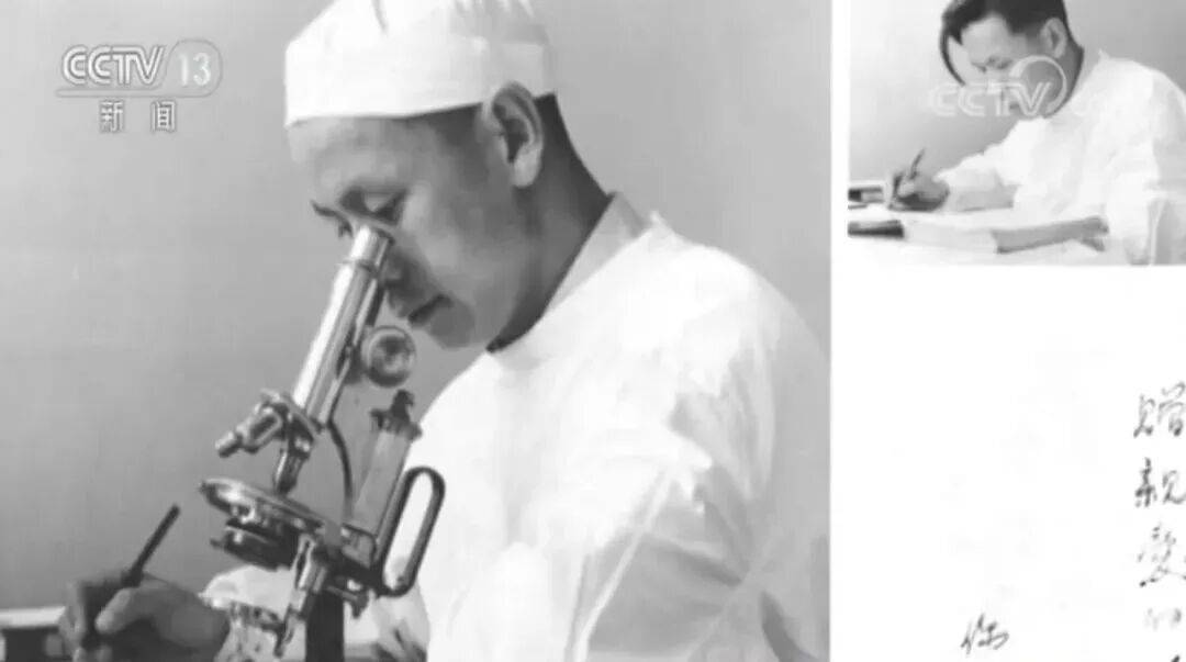 狼队vs西汉姆联
_联合国通过决议:纪念“糖丸爷爷”狼队vs西汉姆联
!