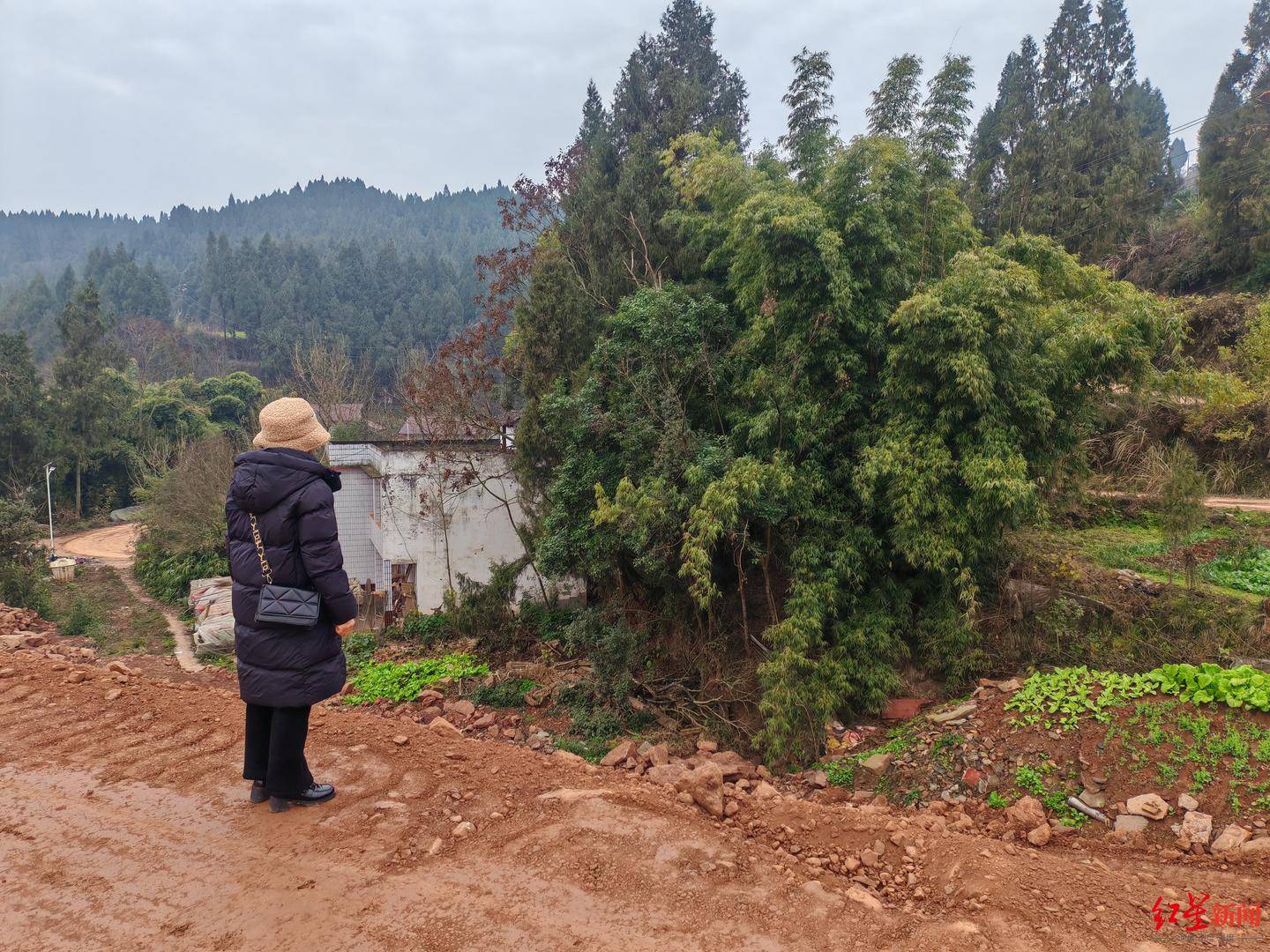 皇冠信用盘额度
_南充一村庄村民房屋因建高速路拆迁皇冠信用盘额度
,至今未找到新宅基地建房 官方回应