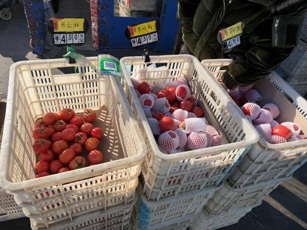 皇冠信用出租代理_寒潮下实地探访北京新发地：西红柿变身“蔬菜刺客”皇冠信用出租代理，批发商直呼“还得涨”