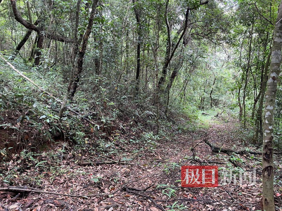 正版皇冠信用网代理_失孤：南京女大学生被害6年后正版皇冠信用网代理，一位父亲的战斗与和解