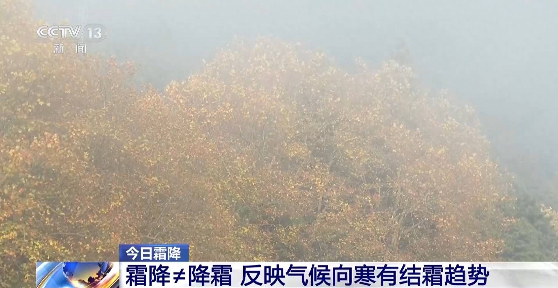 墨西哥超级联赛-特别投注
_霜降天一定会降霜吗墨西哥超级联赛-特别投注
?霜降≠降霜